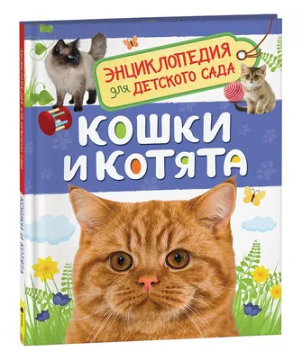 🐱 КОТИК ПОЛОСАТЫЙ 🐾 Милый сборник про животных - Песенки - Друзья  лохматые, Животные, Цветочки - YouTube