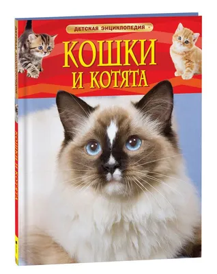 Кошки. Детская энциклопедия РОСМЭН – купить по лучшей цене на сайте  издательства Росмэн