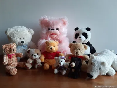 Милый Британский плюшевый медведь, плюшевая игрушка, кавайные мягкие  животные, свитер, медведи, плюшевые куклы, аниме, мягкие детские игрушки  для девочек и мальчиков, подарки | AliExpress