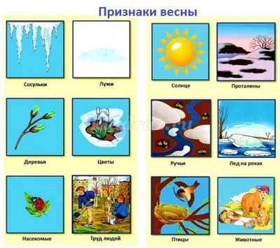 Лэпбук на тему: Весна для детского сада своими руками | Лэпбук, Детский  сад, Дошкольные проекты