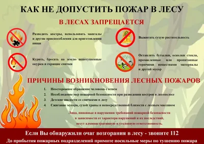 Соблюдать правила пожарной безопасности в лесу очень важно! - Новости -  Главное управление МЧС России по Ярославской области