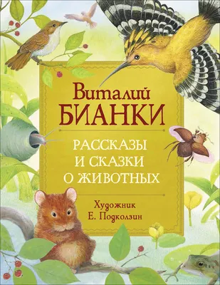 Книга Бианки В. Рассказы и сказки о животных (Любимые детские писатели) -  купить детской художественной литературы в интернет-магазинах, цены на  Мегамаркет | 600003649092