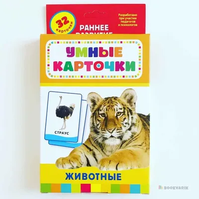 Купить "Животные (Развивающие карточки 0+). Умные карточки" за 11 руб. в  интернет-магазине детских книг и игрушек 