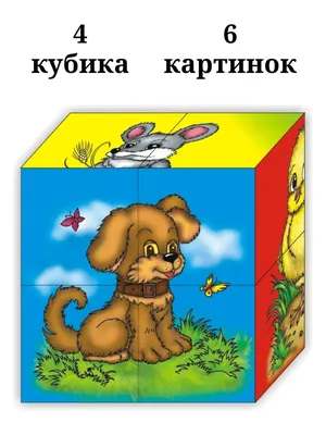 Детские развивающие карточки Домана Экзотические животные в магазине  Карапузов