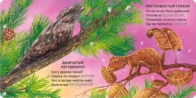 Книжки - картонки. Загадки - рифмы. Животные-невидимки - купить с доставкой  по Москве и РФ по низкой цене | Официальный сайт издательства Робинс