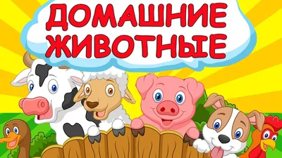 ЗАГАДКИ О ЖИВОТНЫХ 🐘 Детские загадки/ Загадки Про Животных в Зоопарке -  YouTube