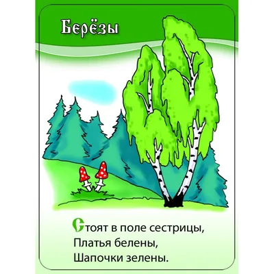 Иллюстрация 2 из 23 для Загадки для малышей | Лабиринт - книги. Источник:  Лабиринт