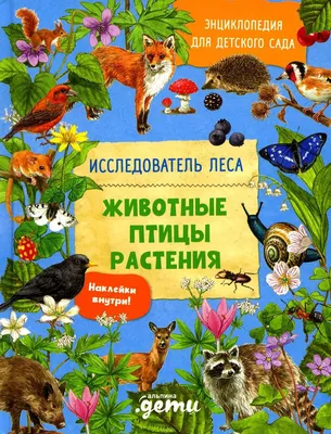 Энциклопедия для детского сада: животные птицы растения - купить с  доставкой по выгодным ценам в интернет-магазине OZON (722316010)