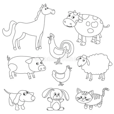 Раскраска для детей с образцами Домашние животные | Раскраски, Детские  раскраски, Домашнее животное