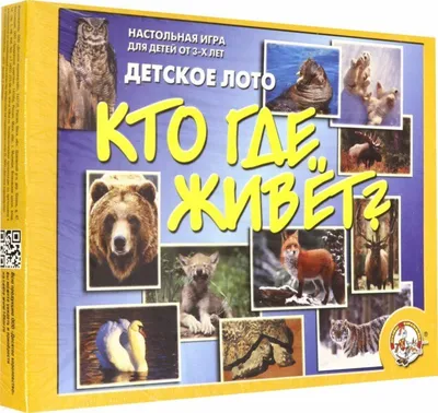 Купить детское лото с пластиковыми фишками 10 в 1 в интернет-магазине  Десятое Королевство