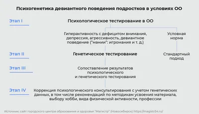 Молодежный центр развития личности Кубанский государственный универ