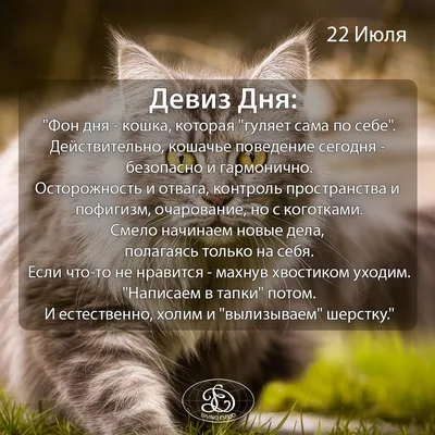 Девиз дня: 22 Июля 2020 | Lockscreen, Lockscreen screenshot, Aha