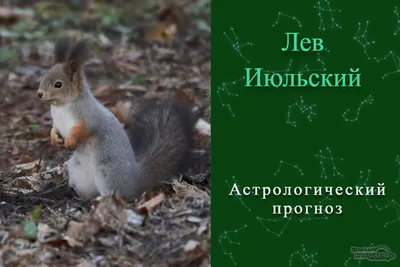 Девиз дня на 6 апреля: «Никогда не откладывай на завтра то, что нужно было  сделать вчера» | Уральский меридиан