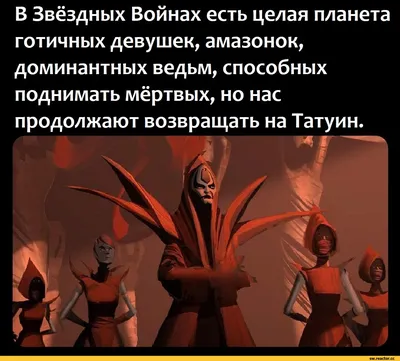 По следам амазонок: перенимаем тактику поведения для привлечения любви |  Lifecode_ косметика | Дзен