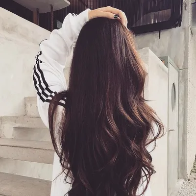 Фото девушек с длинными волосами. Вид со спины | Long hair styles, Long  wavy hair, Hair looks