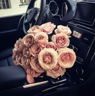 Цветы в машине (99 лучших фото)