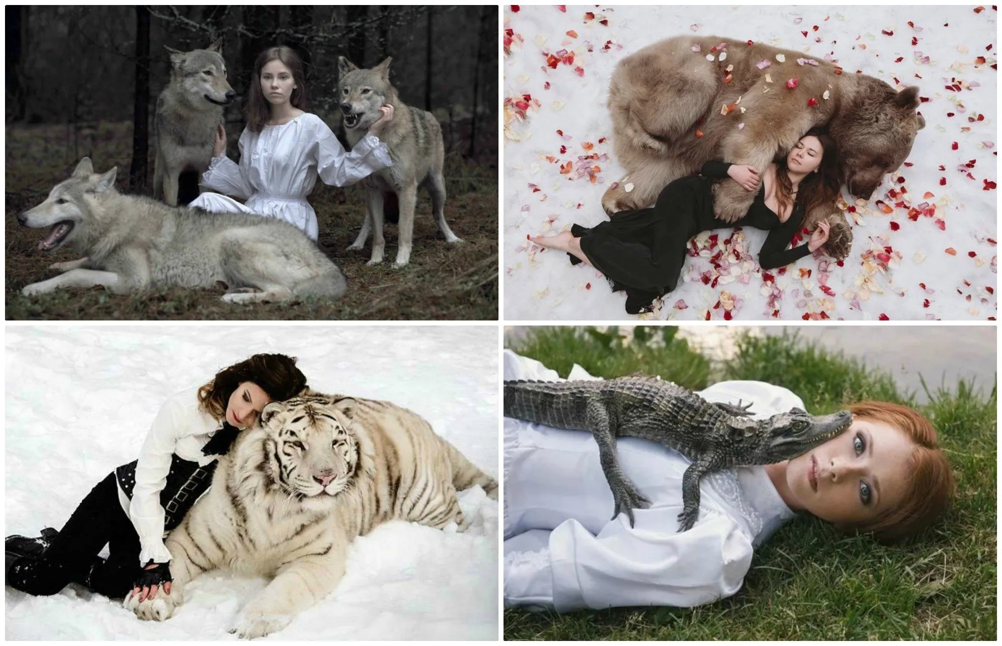 С молодыми животными девушки. Фотосессия с дикими животными в Москве. Животные Ассоциация с девушкой. Девушки с дикими животными.