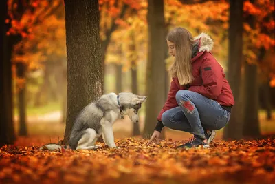 Не повторять опасно для жизни! Красивые девушки фоткаются с хищными  животными. Искуственный интеллект рисует... | Искусственный интеллект  рисует. | Дзен