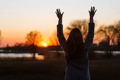 Девушка стоит спиной во время заката и поднимает руки наверх | Премиум Фото
