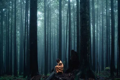 Девушка в лесу эстетика - 75 фото