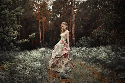 Обои девушка в лесу, в красивом платье