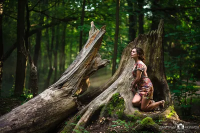 Девушка в лесу рисунок - 68 фото