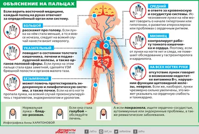 Диагностика по ногтям | Доктор Кутушов | Дзен