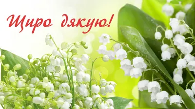 Pin by Tanya Teplitska on Открытки 💐🎉 | Happy b day, Congrats, Happy  birthday