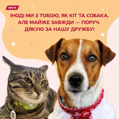 Міні Листівка вітальна (Валентинка)мини 8х7 см: продажа, цена в Киеве.  Открытки и подарочные конверты от "Товари для Свята - " -  1553635495