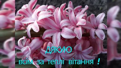 Листівки «Дякую за замовлення» 6x8 см в Україні: опис, ціна - замовити на  сайті Bibirki