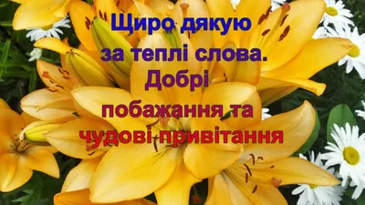 Дякую. Картинки, листівки, відкритки за привітання, увагу. - West Wild |  Захід Дикий