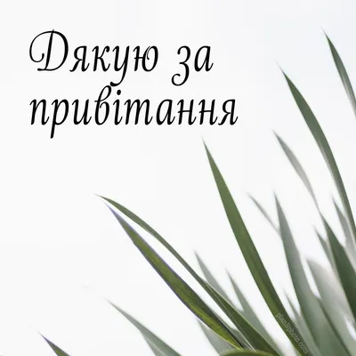 Картинки ДЯКУЮ. За привітання. За Увагу. За щирі і теплі слова. - Тут Добре