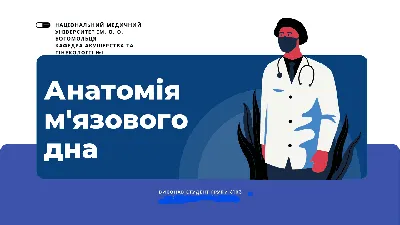 Зеленский показал образовательное приложение «Мрія» для школьников. Он  станет своеобразным детским аналогом «Дії» | 