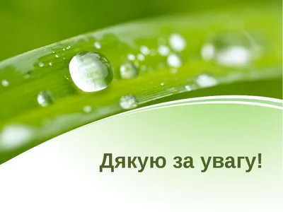 Мем: "Презентація закінчена Дякую за увагу" - Все шаблоны - 