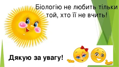 Дякую за увагу картинки і листівки скачати (ТОП 25)