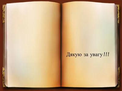 Свитшот “Дякую за увагу” купить в Киеве с доставкой по Украине в  интернет-магазине оригинальных товаров NU SHO - 309