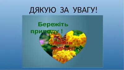 Міжнародний день "дякую": за що і кому місцеві жителі висловлюють вдячність  – Сарни