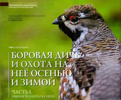 Особенности охоты на болотно-луговую дичь | На Калиновке Клёво! | Дзен