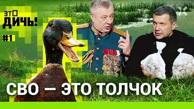 В Приамурье подвели итоги охоты на водоплавающую дичь — Амурская правда,  новости Благовещенска и Амурской области