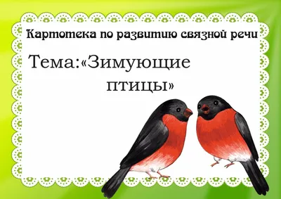 Дидактическая игра по закреплению знаний о птицах «Чей хвост» (10 фото).  Воспитателям детских садов, школьным учителям и педагогам - Маам.ру