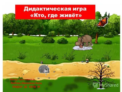 Презентация на тему: Дидактическая игра «Кто живёт в лесу?»". Скачать  бесплатно и без регистрации.