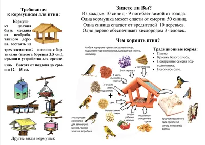 Тематическая неделя «Дикие животные и птицы» | ЛАДУШКИ. 