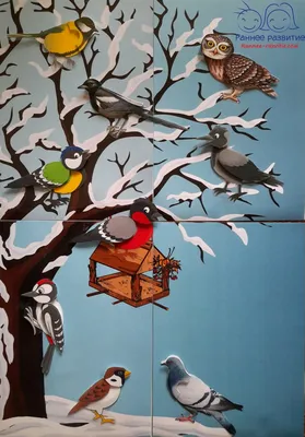 Игра на липучках «Зимующие птицы» - Скачать шаблон | Раннее развитие
