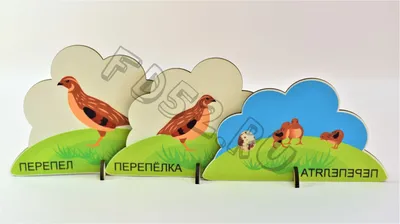 Дидактические игры на развитие ЭМП у детей старшего дошкольного возраста -  Сайт stepanovanatalya!