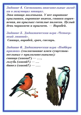 Развивающие плакаты. Зимующие птицы для детского сада — купить в Нижнем  Новгороде по выгодной цене с доставкой по России