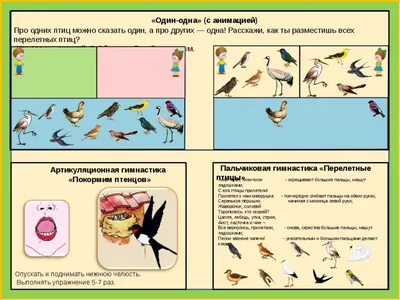 Познавательно-творческий проект (старшая группа) «Перелетные птицы К