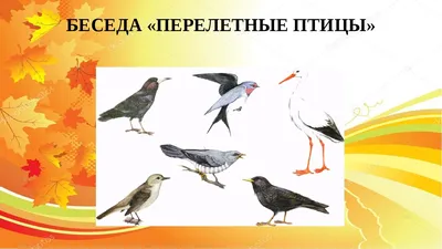 1 апреля - Международный день птиц | МБДОУ МО Г.КРАСНОДАР "ДЕТСКИЙ САД № 98"