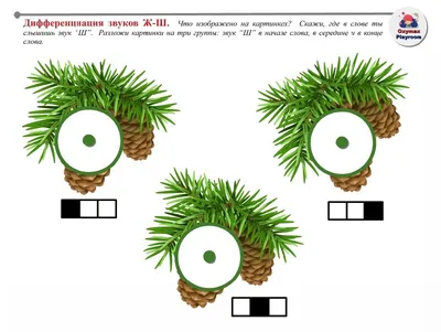 Коррекционно-развивающее занятие "Дифференциация звуков С–Ш"