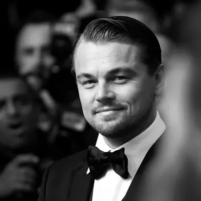 Leonardo Dicaprio в 2023 г | Леонардо ди каприо, Хипстер картинки, Кристиан  бэйл