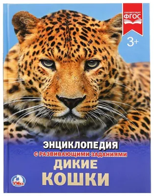 Большая книга. Дикие кошки. (ID#1665132055), цена: 60 ₴, купить на 